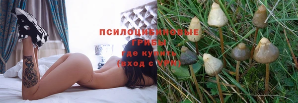 меф Балахна