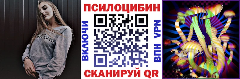 MEGA ТОР  Гаврилов-Ям  Псилоцибиновые грибы мухоморы 